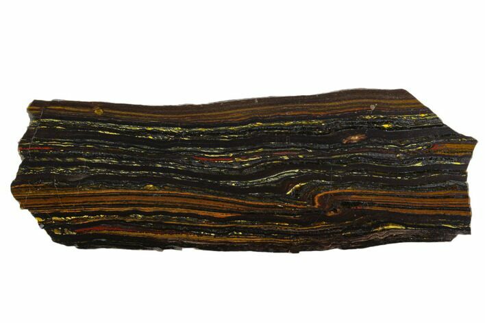 Polished Tiger Iron Stromatolite - Billion Years #129355
